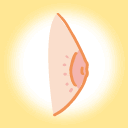 扁平乳頭イラスト