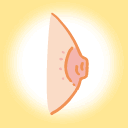 陥没乳頭イラスト