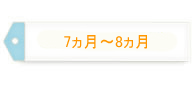 7～8ヵ月
