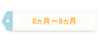 8～9ヵ月