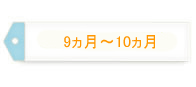 9～10ヵ月