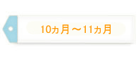 10～11ヵ月