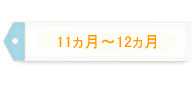 11～12ヵ月