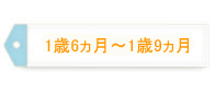 1歳6～9ヵ月