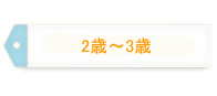 2歳～3歳