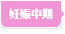 妊娠中期