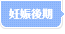 妊娠後期