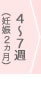 4～7週