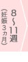 8～11週