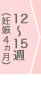 12～15週