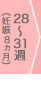 28～31週