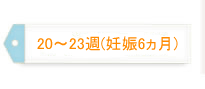 20～23週（妊娠6ヵ月）