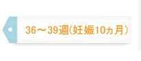 36～39週（妊娠10ヵ月）