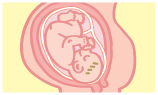 ママの様子(妊娠36～39週)