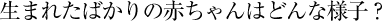 生まれたばかりの赤ちゃんはどんな様子？