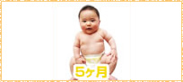 赤ちゃんの様子5ヵ月イメージ