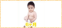 赤ちゃんの様子6ヵ月イメージ