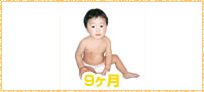 赤ちゃんの様子9ヵ月イメージ