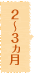 2～3ヵ月