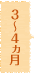 3～4ヵ月