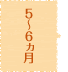 5～6ヵ月