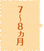 7～8ヵ月