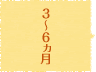 3～6ヵ月