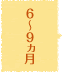 6～9ヵ月