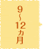 9～12ヵ月