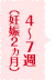 4～7週（妊娠2ヵ月）