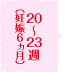20～23週（妊娠6ヵ月）