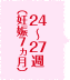 24～27週（妊娠7ヵ月）