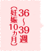 36～39週（妊娠10ヵ月）