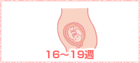 ママの様子0～3週イメージ