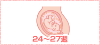 ママの様子8～11週イメージ