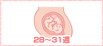 ママの様子28～31週イメージ