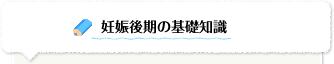 妊娠後期の基礎知識