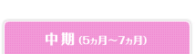 中期（5ヵ月～7ヵ月）