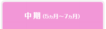 中期（5ヵ月～7ヵ月）