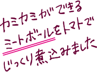 カミカミができるミートボールをトマトでじっくり煮込みました