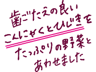歯ごたえの良いこんにゃくとひじきをたっぷりの野菜とあわせました