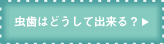 虫歯はどうしてできる？